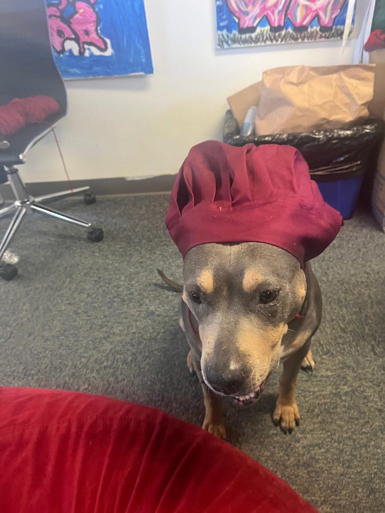 A dog wearing a red chef's hat is standing next to a person sitting at a table with various items on it.