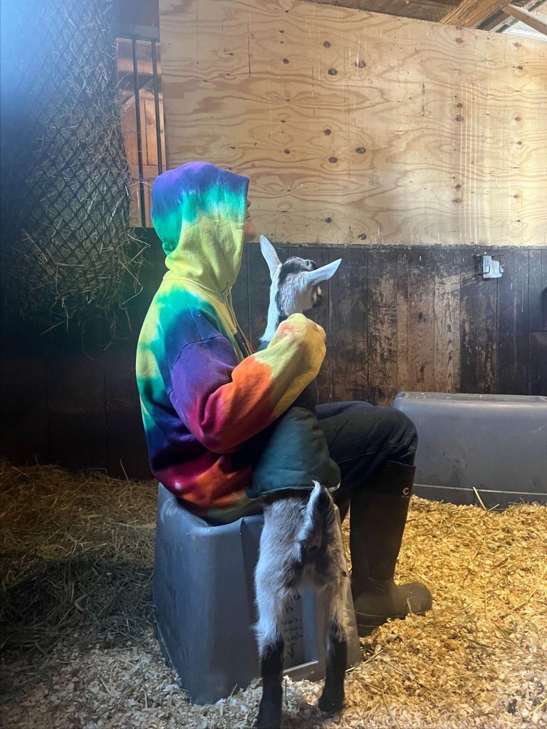 A person is sitting with a goat while wearing a tie-dye hoodie and holding it's head.